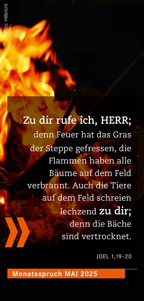 Monatsspruch
